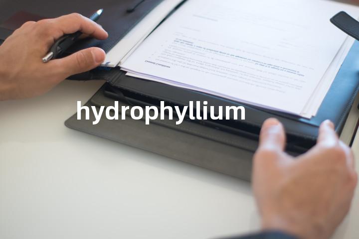 hydrophyllium单词图解，单词释义场景配图