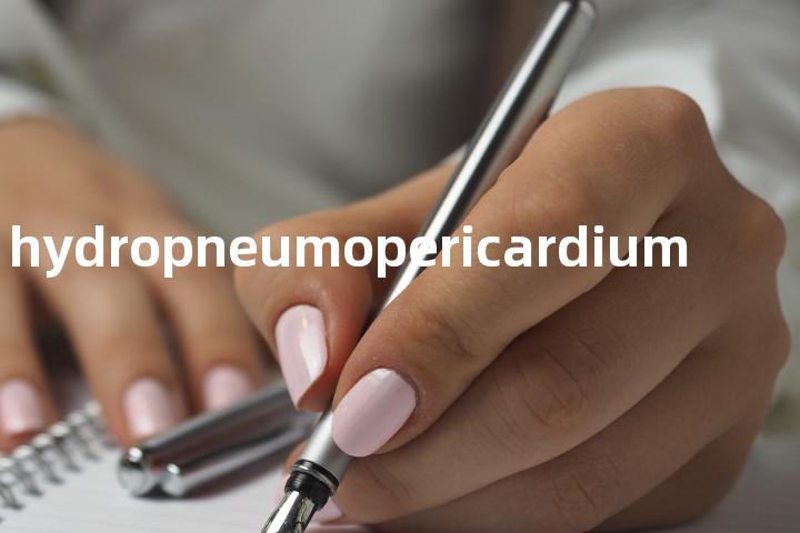 hydropneumopericardium单词图解，单词释义场景配图