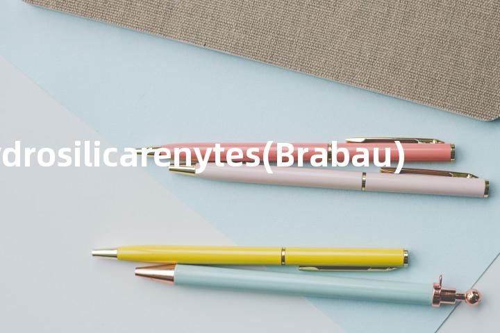 hydrosilicarenytes(Brabau)单词图解，单词释义场景配图