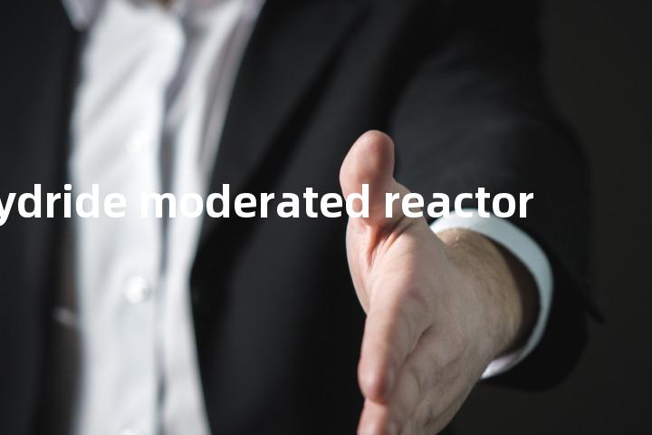 hydride moderated reactor单词图解，单词释义场景配图