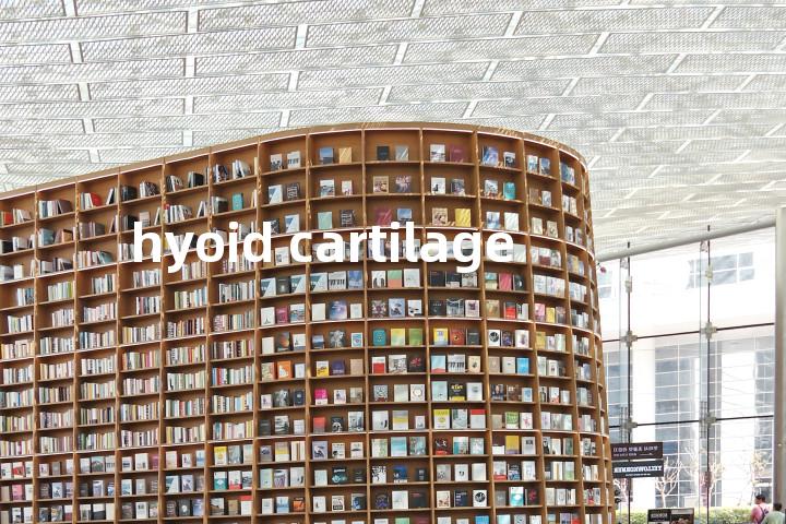 hyoid cartilage单词图解，单词释义场景配图