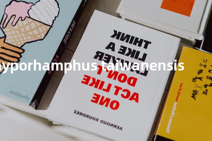 hyporhamphus taiwanensis单词图解，单词释义场景配图