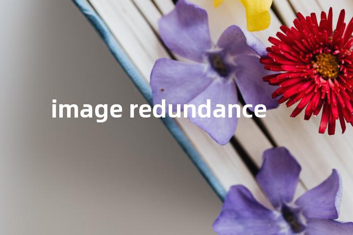 image redundance单词图解，单词释义场景配图