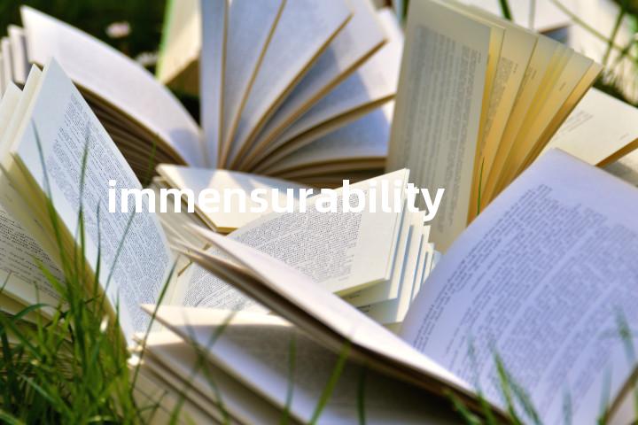 immensurability单词图解，单词释义场景配图