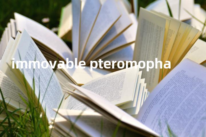 immovable pteromopha单词图解，单词释义场景配图