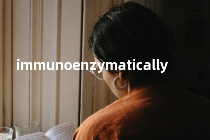 immunoenzymatically单词图解，单词释义场景配图