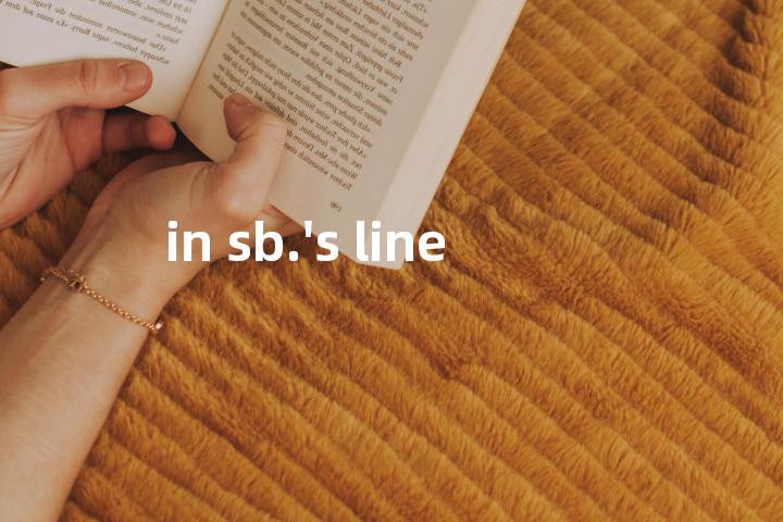 in sb.'s line单词图解，单词释义场景配图