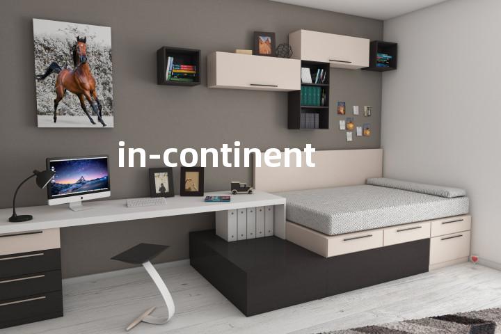 in-continent单词图解，单词释义场景配图