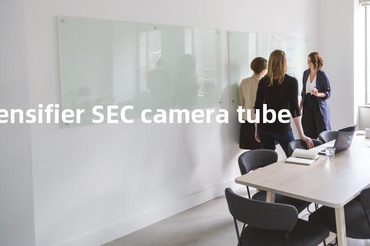 intensifier SEC camera tube单词图解，单词释义场景配图