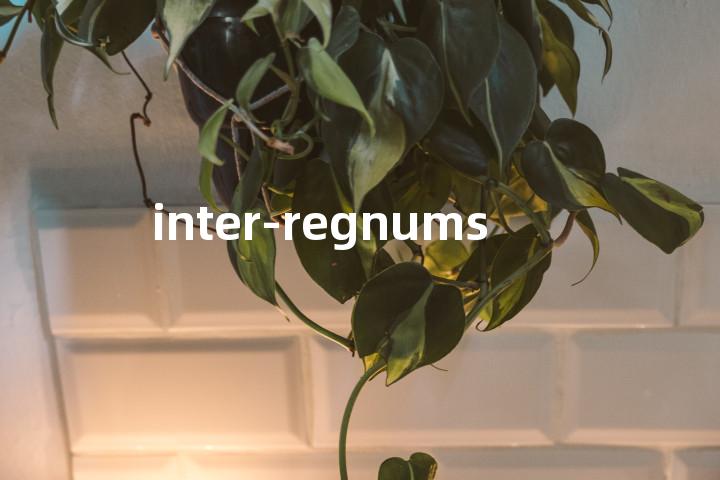 inter-regnums单词图解，单词释义场景配图