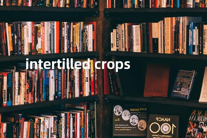 intertilled crops单词图解，单词释义场景配图