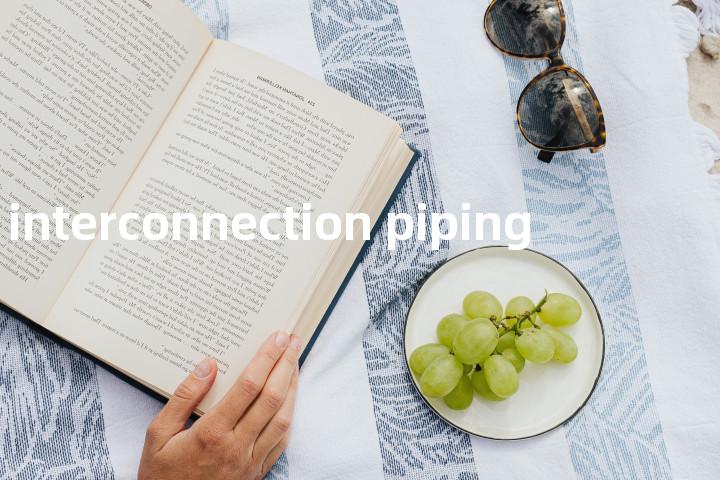 interconnection piping单词图解，单词释义场景配图