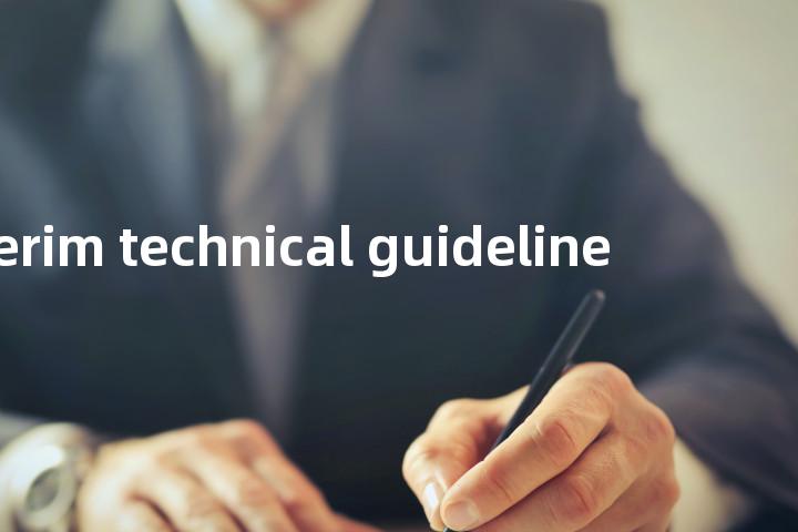 interim technical guideline单词图解，单词释义场景配图