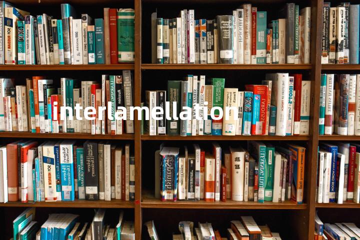 interlamellation单词图解，单词释义场景配图