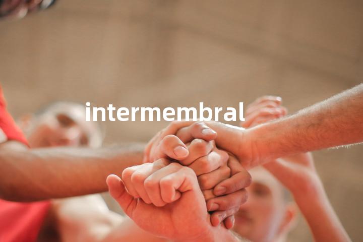 intermembral单词图解，单词释义场景配图