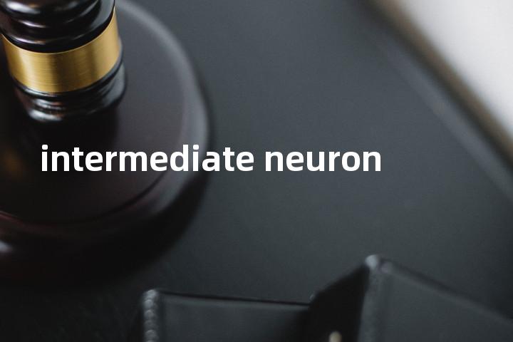 intermediate neuron单词图解，单词释义场景配图
