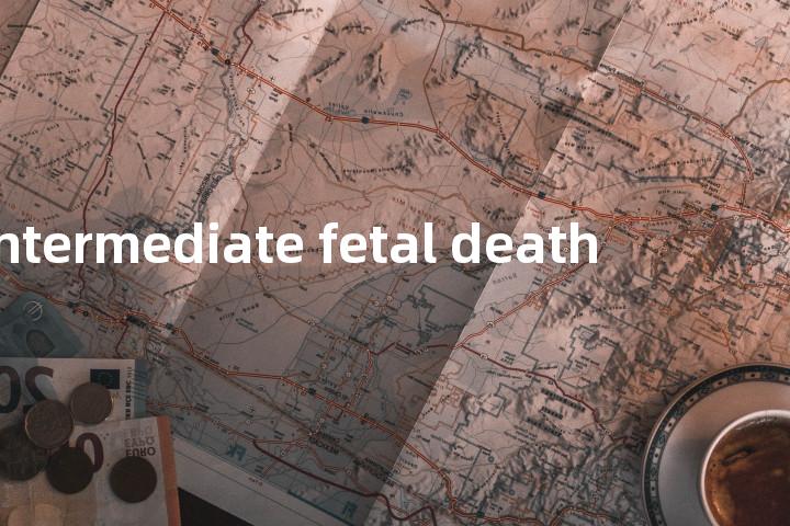 intermediate fetal death单词图解，单词释义场景配图