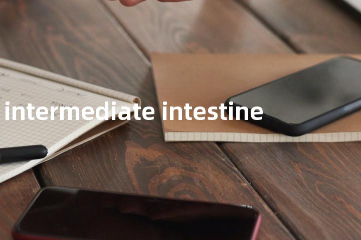 intermediate intestine单词图解，单词释义场景配图