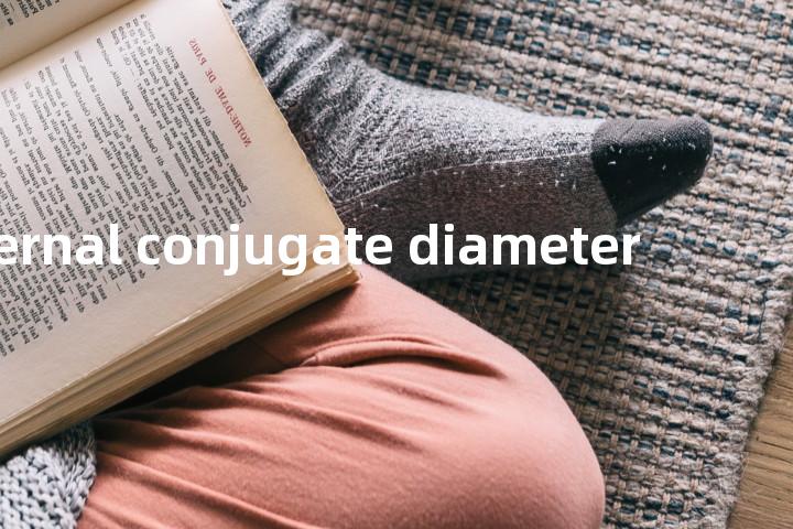 internal conjugate diameter单词图解，单词释义场景配图