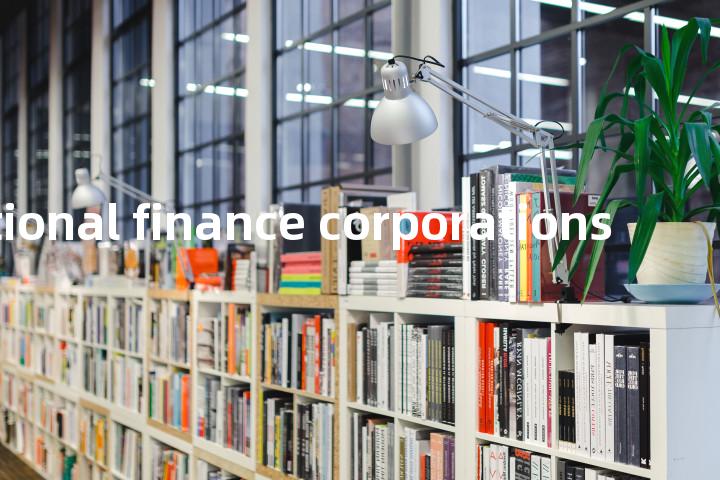 international finance corporations单词图解，单词释义场景配图