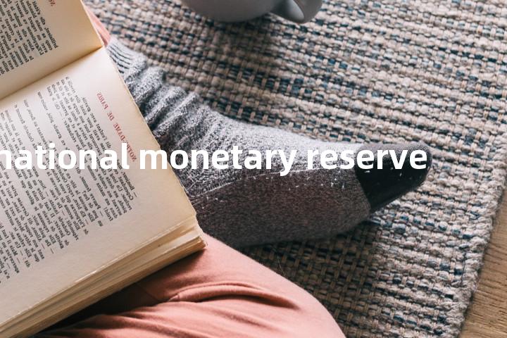 international monetary reserve单词图解，单词释义场景配图