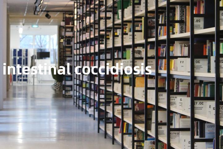 intestinal coccidiosis单词图解，单词释义场景配图