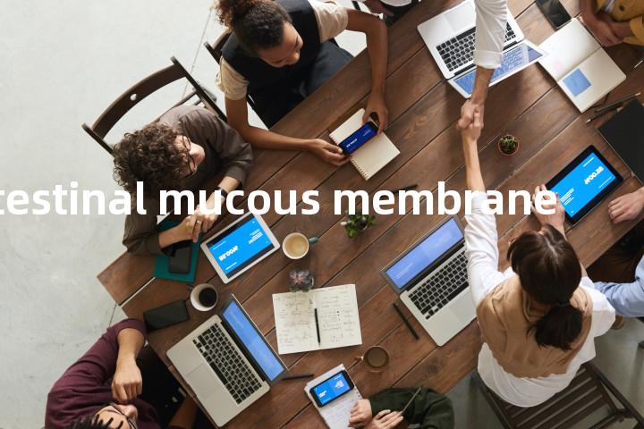intestinal mucous membrane单词图解，单词释义场景配图