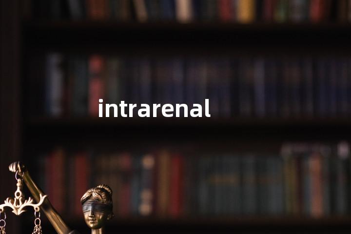 intrarenal单词图解，单词释义场景配图