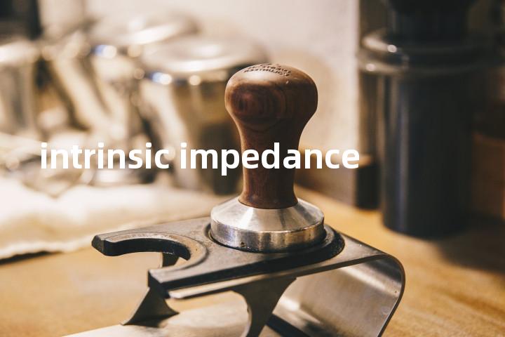 intrinsic impedance单词图解，单词释义场景配图