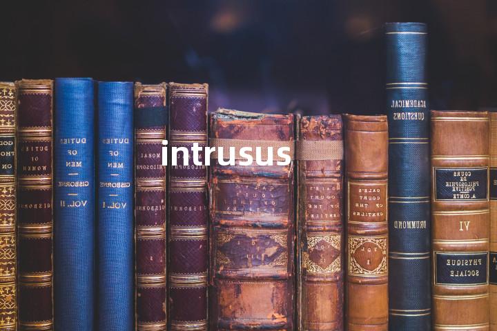 intrusus单词图解，单词释义场景配图