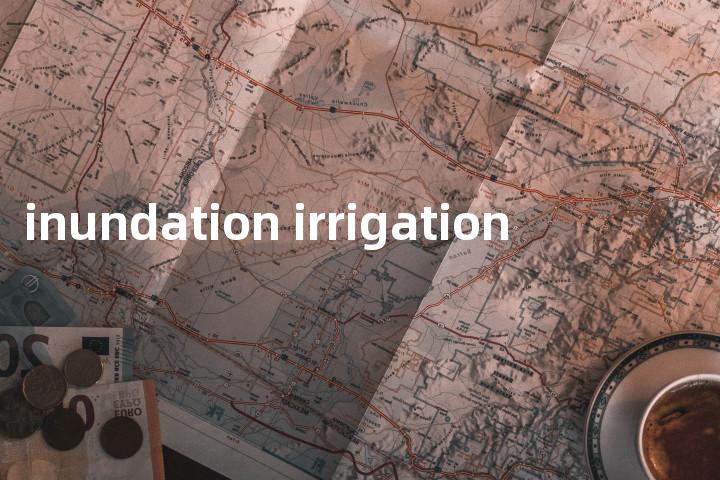 inundation irrigation单词图解，单词释义场景配图