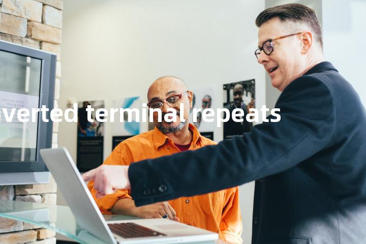 inverted terminal repeats单词图解，单词释义场景配图