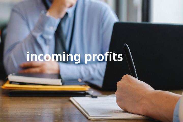 incoming profits单词图解，单词释义场景配图