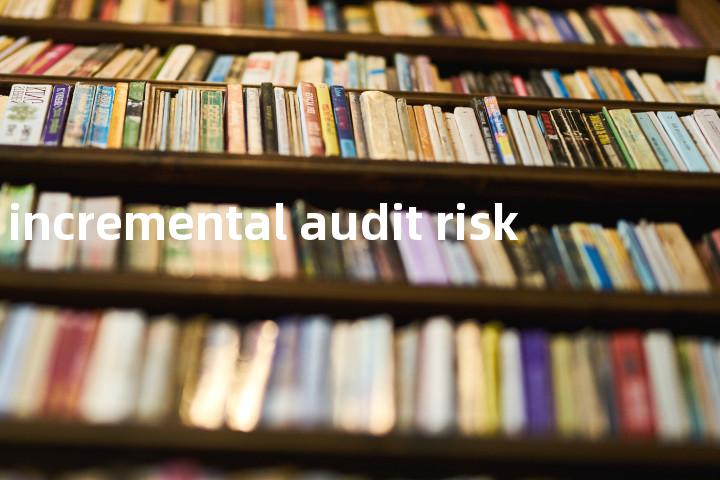 incremental audit risk单词图解，单词释义场景配图