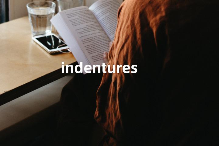 indentures单词图解，单词释义场景配图