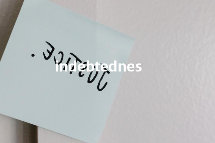 indebtedness