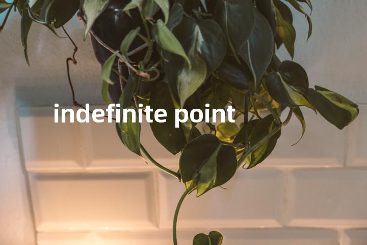 indefinite point单词图解，单词释义场景配图