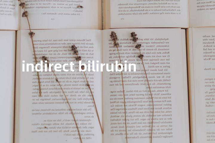 indirect bilirubin单词图解，单词释义场景配图