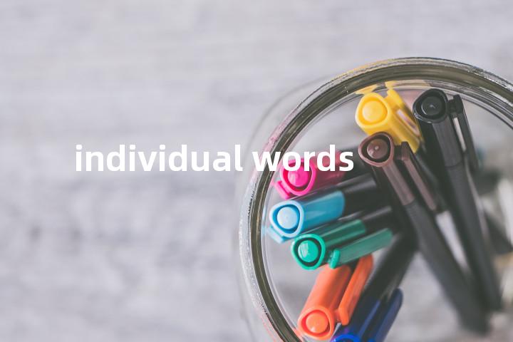 individual words单词图解，单词释义场景配图