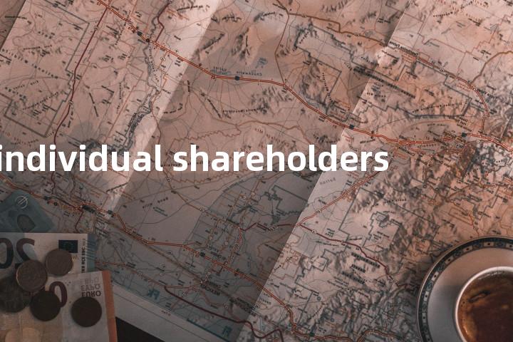 individual shareholders单词图解，单词释义场景配图