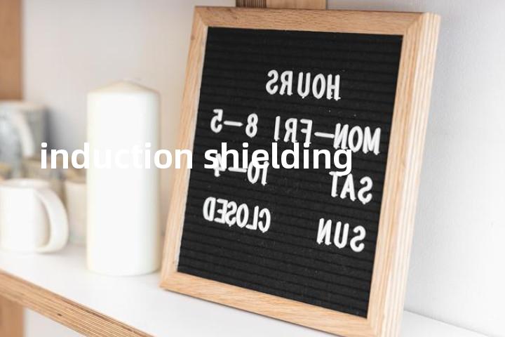 induction shielding单词图解，单词释义场景配图