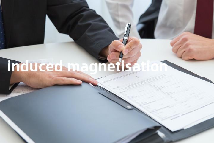 induced magnetisation单词图解，单词释义场景配图