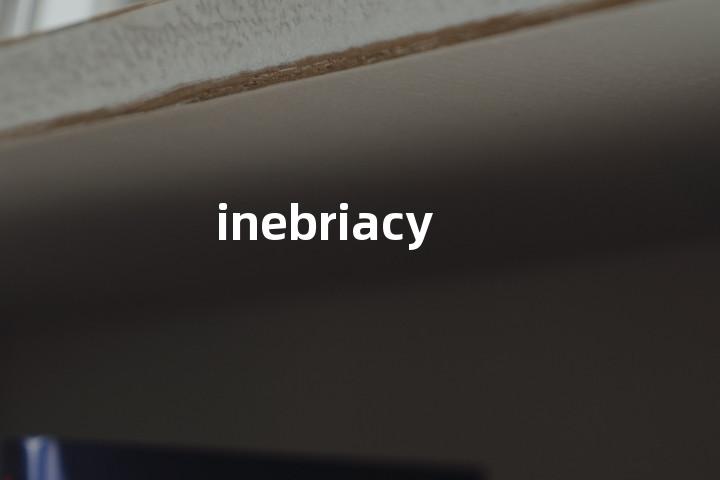 inebriacy单词图解，单词释义场景配图