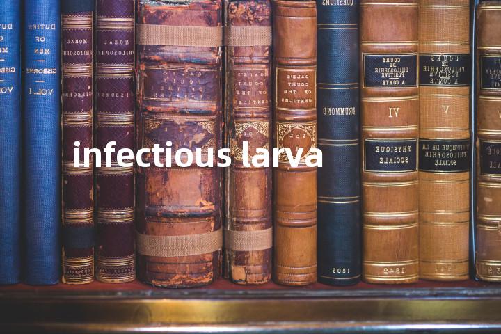 infectious larva单词图解，单词释义场景配图