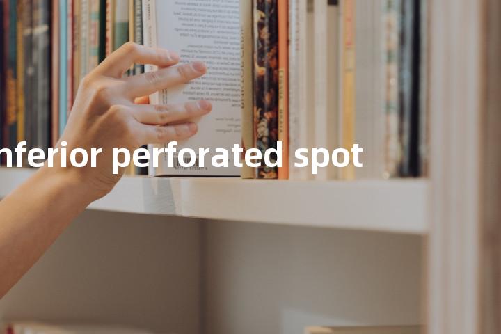 inferior perforated spot单词图解，单词释义场景配图