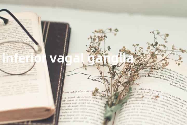 inferior vagal ganglia单词图解，单词释义场景配图