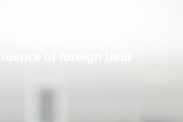 influence of foreign field单词图解，单词释义场景配图