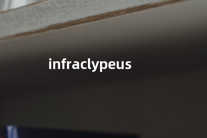 infraclypeus单词图解，单词释义场景配图