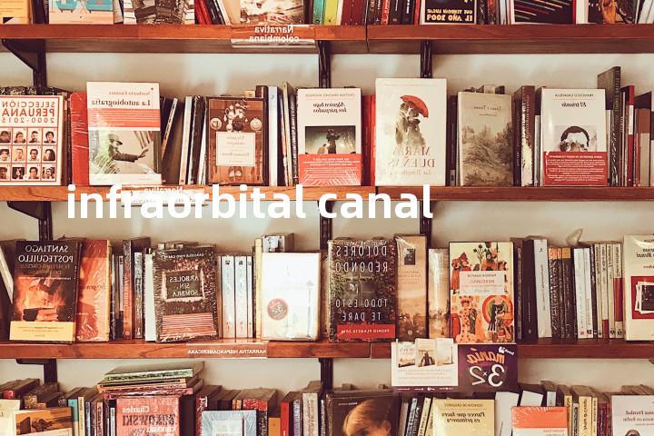 infraorbital canal单词图解，单词释义场景配图