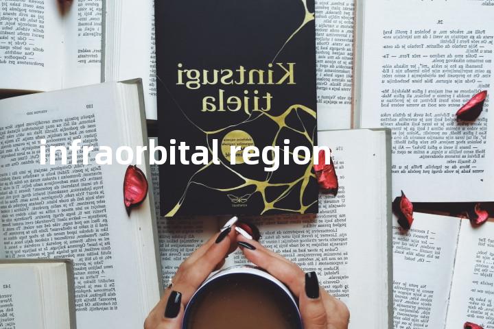 infraorbital region单词图解，单词释义场景配图